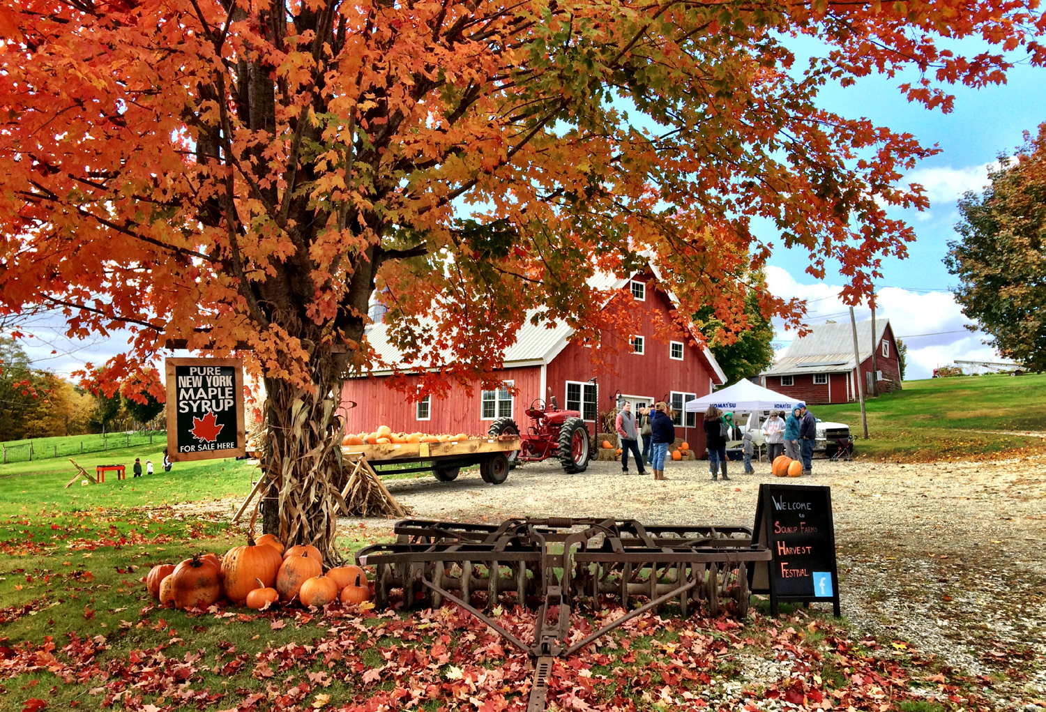 Soukup Farms