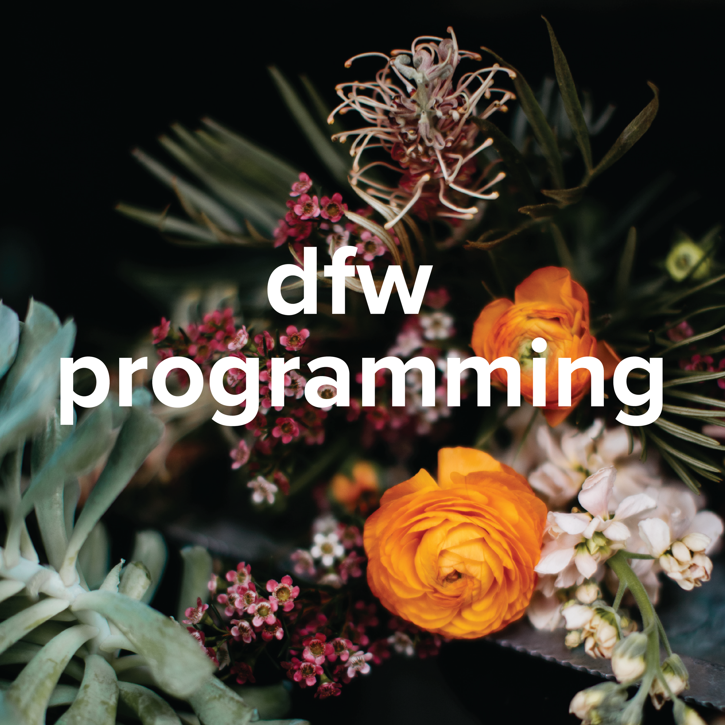program-05.png