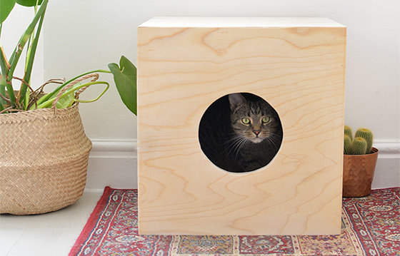 DIY-Wooden-Cat-Bed-by-Burkatron-560x359.png