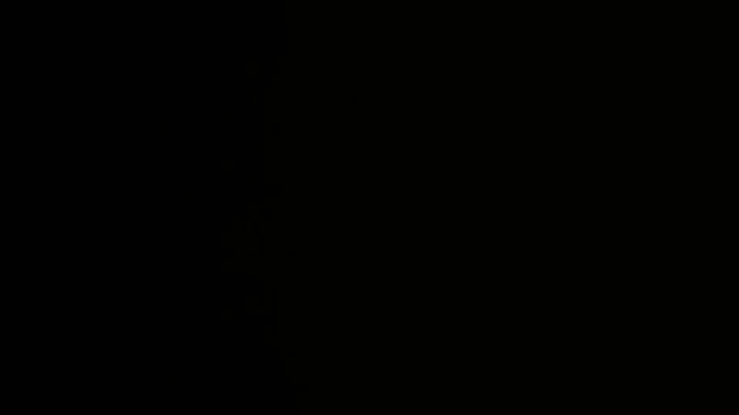 More Than A Vote - 60-high.gif