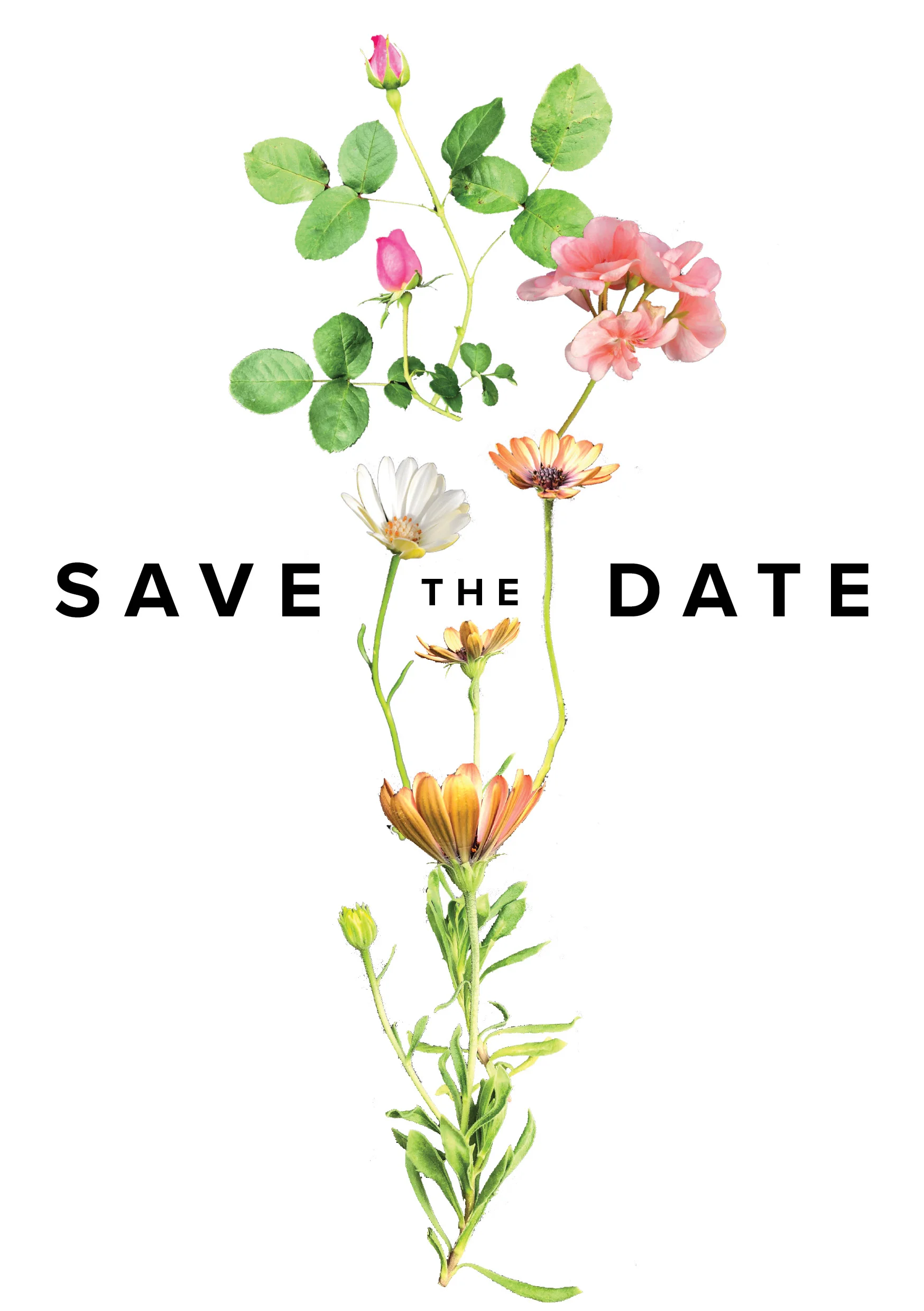 OUR_wedding_SAVETHEDATE_FINAL-names3.jpg