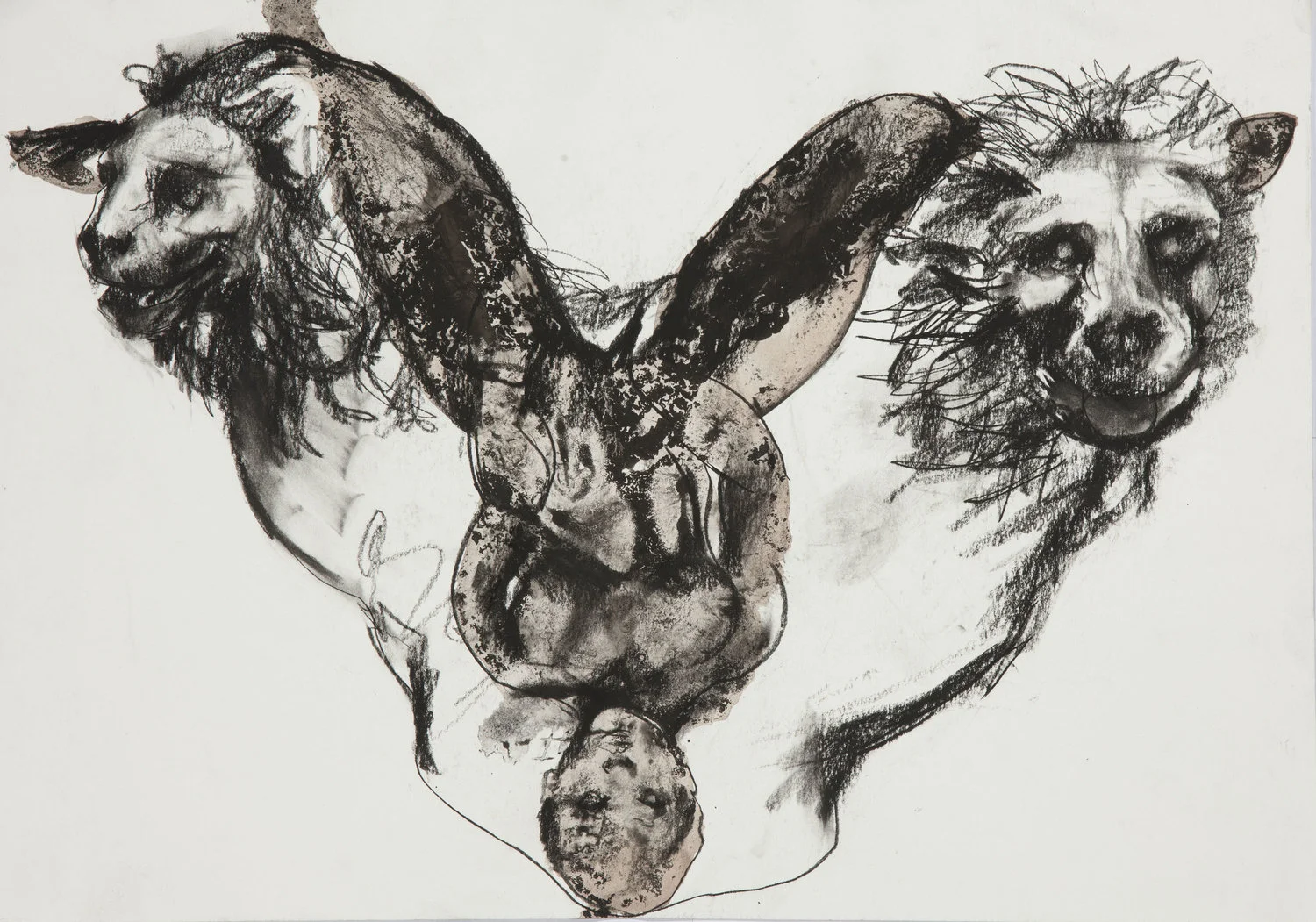 Double Lions, 2017, mixed media on paper, drawing, wine & ink