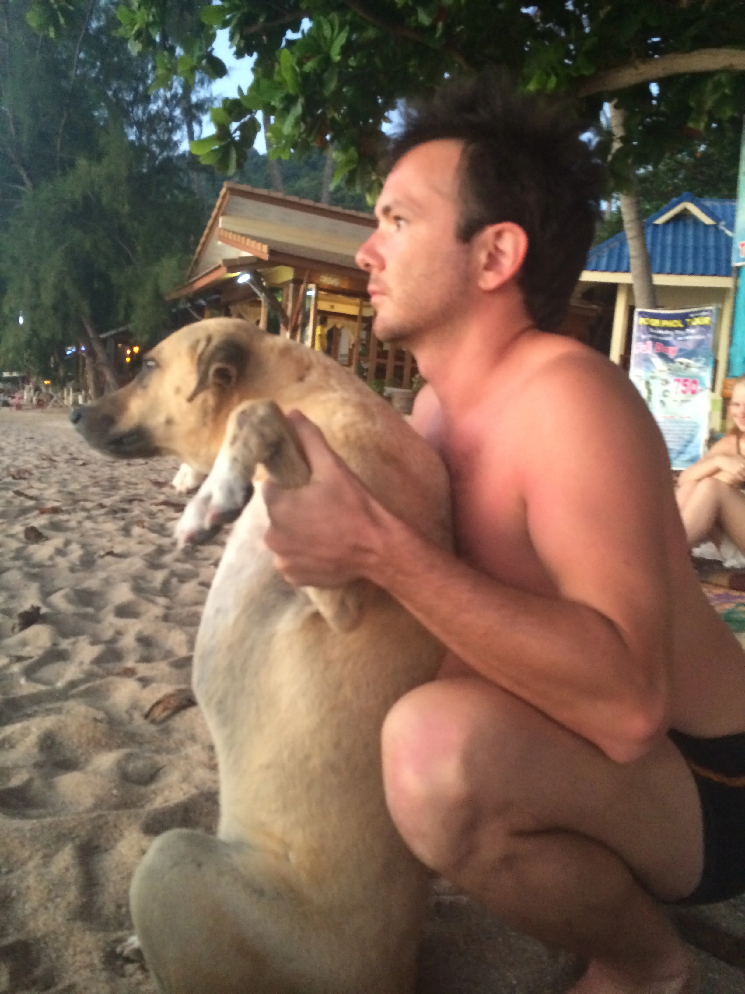 Adjusting the leader of a local dog gang on the beach of Koh Tao, Thailand. Find out more about our Animal Chiropractic Services HERE .
