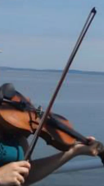 fiddle .jpg