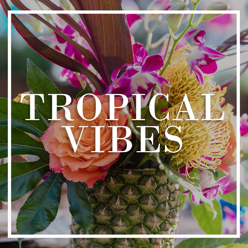 WCFD-Portfolio-COVER-TropicalVibes.jpg