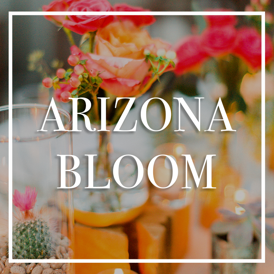 WCFD-Portfolio-COVER-ARIZONABLOOM.jpg