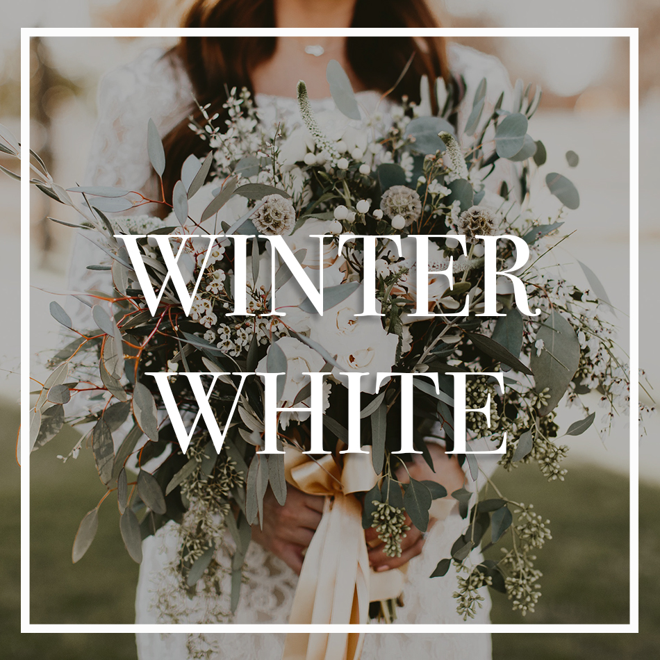 WCFD-Portfolio-COVER-WINTERWHITE.jpg