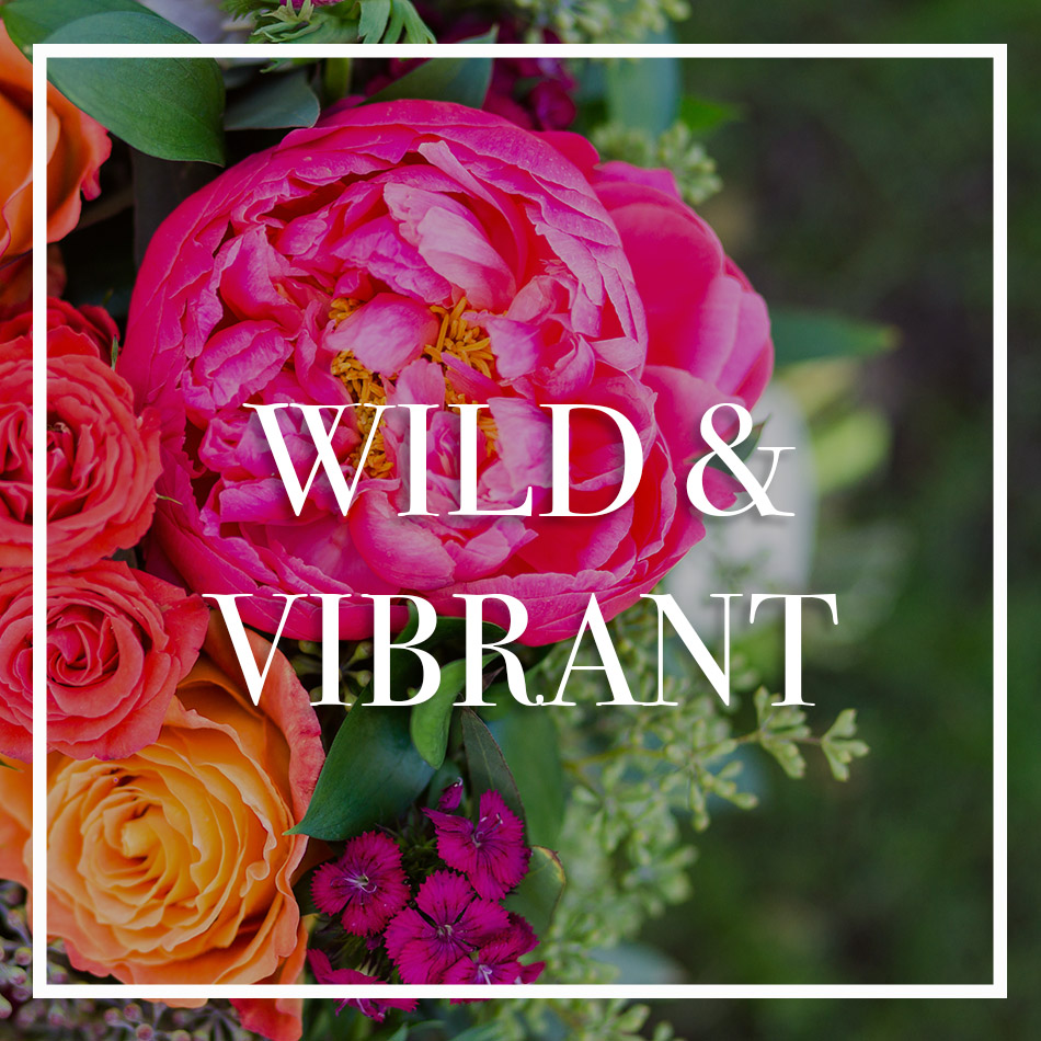 WCFD-Portfolio-COVER-WILDVIBRANT.jpg