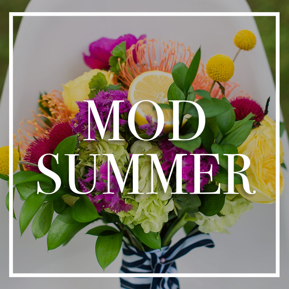 WCFD-Portfolio-COVER-MODSUMMER.jpg