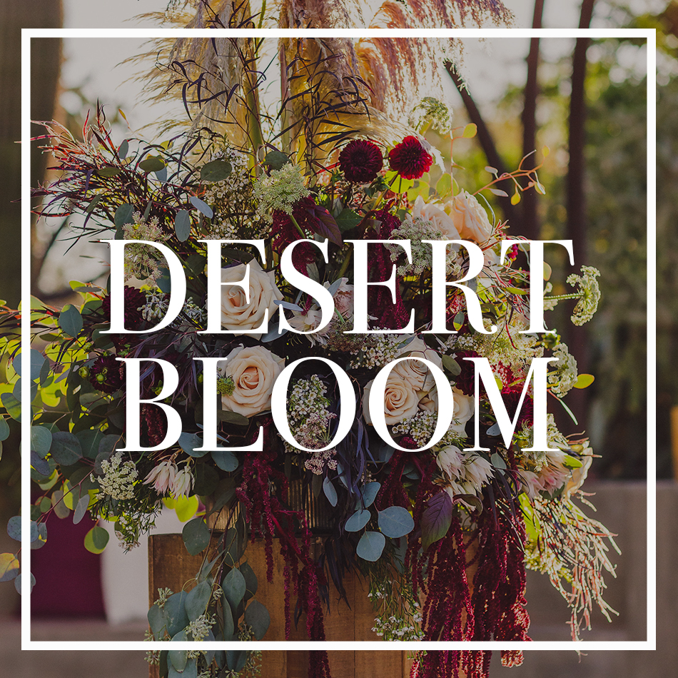 WCFD-Portfolio-COVER-DesertBloom.jpg