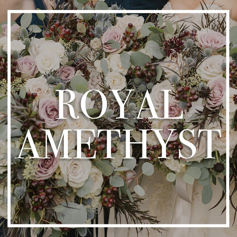 WCFD-Portfolio-COVER-RoyalAmethyst.jpg