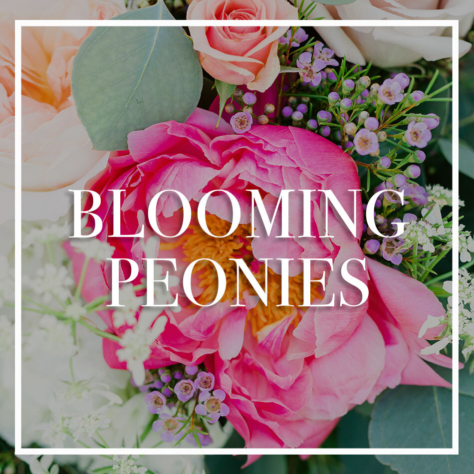 WCFD-Portfolio-COVER-Winter2020-bloomingpeonies.jpg