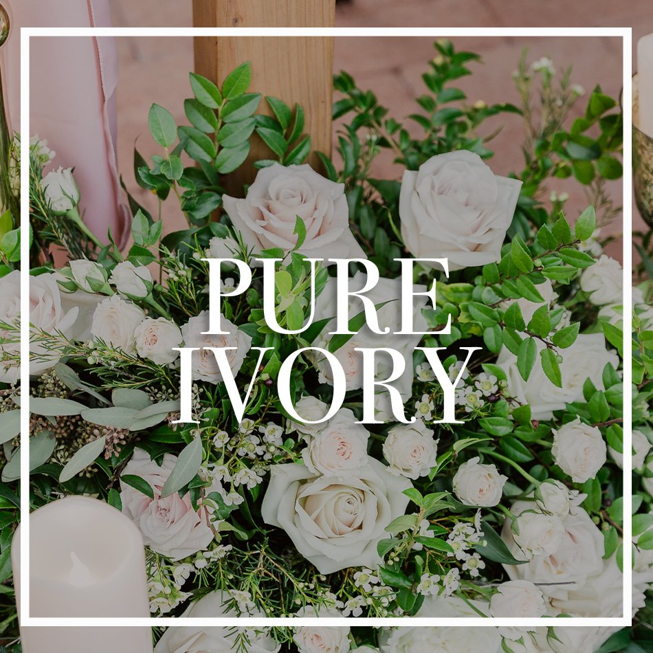 WCFD-Portfolio-COVER-PureIvory.jpg