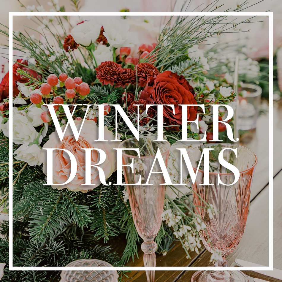 WCFD-Portfolio-COVER-WinterDREAMS.jpg