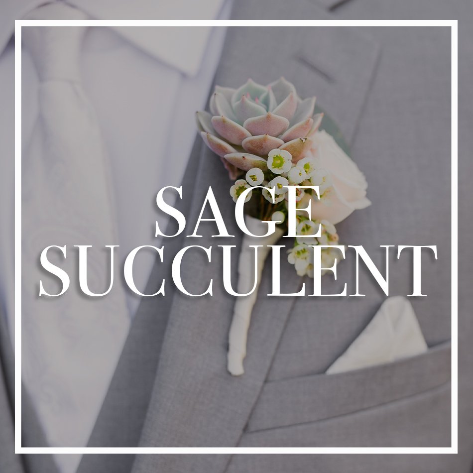 WCFD-Portfolio-COVER-SAGESUCCULENT.jpg