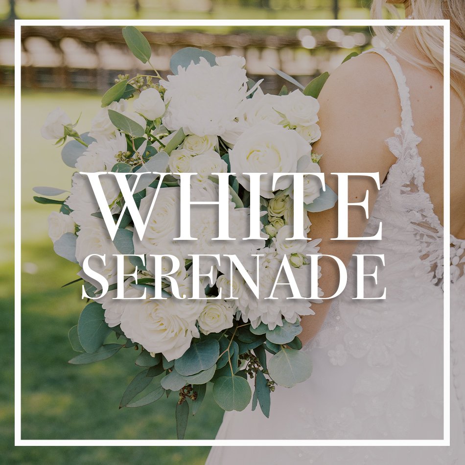 WCFD-Portfolio-COVER-WhiteSerenade.jpg