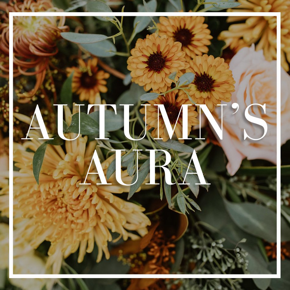 WCFD-Portfolio-COVER-AutumnsAura.jpg