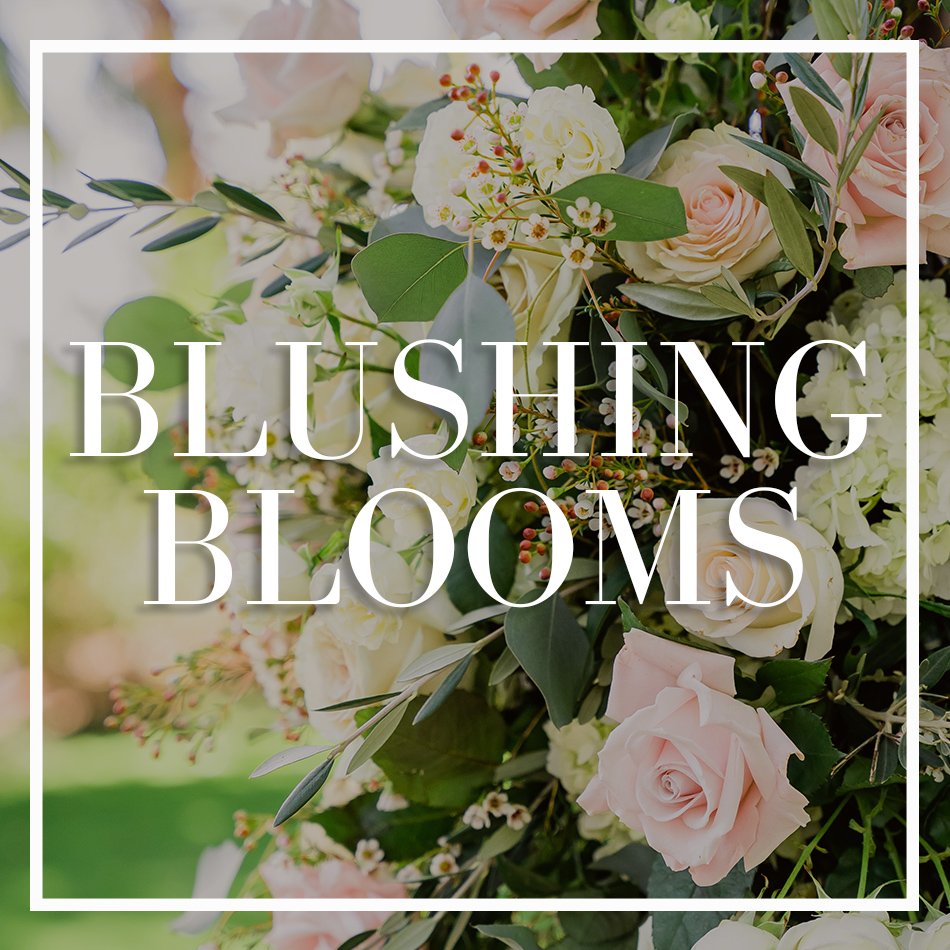 WCFD-Portfolio-COVER-BlushingBlooms.jpg