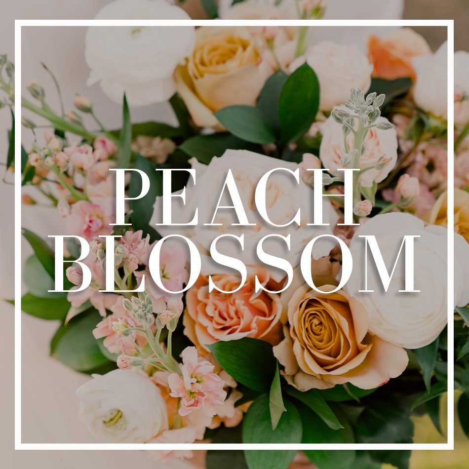 WCFD-Portfolio-COVER-PeachBlossom.jpg