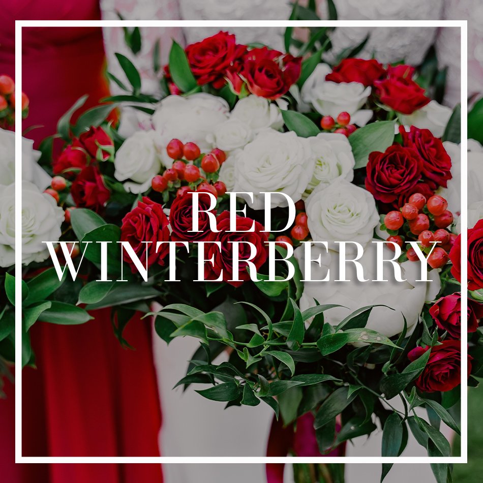 WCFD-Portfolio-COVER-redwinterberry.jpg