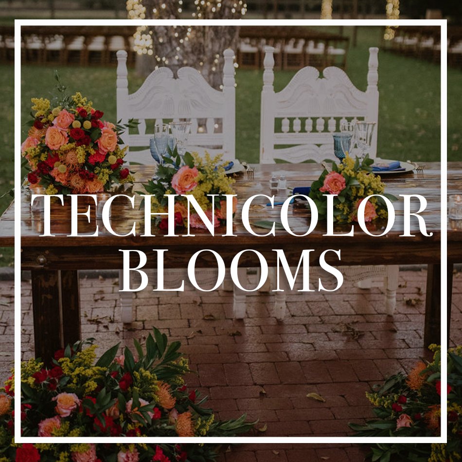 WCFD-Portfolio-COVER-TECHNICOLORBLOOMS.jpg