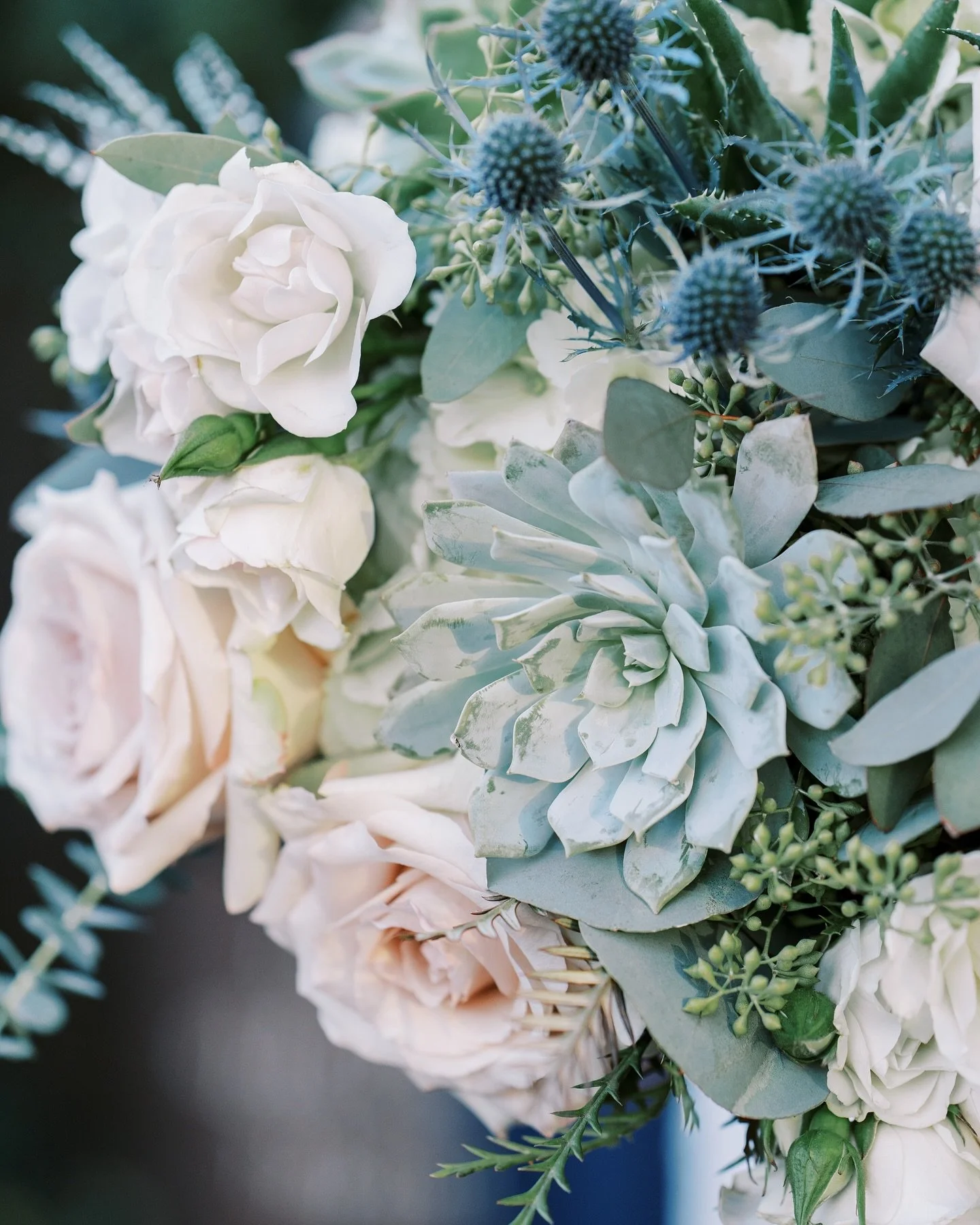 Elegance with a desert twist 🌵 Soft pink roses, succulents and blue thistles made this wedding absolutely enchanting. 
📷: @tonygeorgephoto 
📍: @venueatthegrove