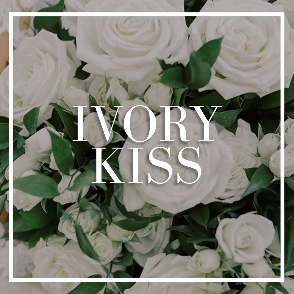 WCFD-Portfolio-COVER-IVORYKISS.jpg