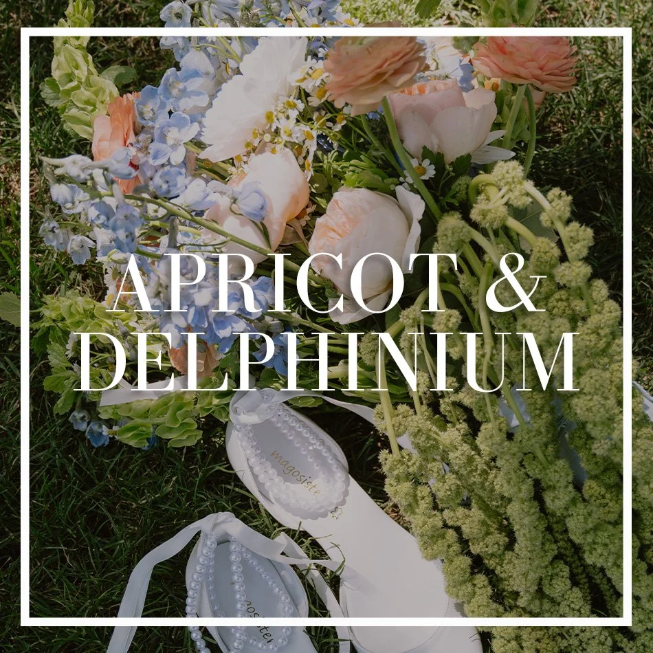 WCFD-Portfolio-COVER-ApricotDelphinium.jpg