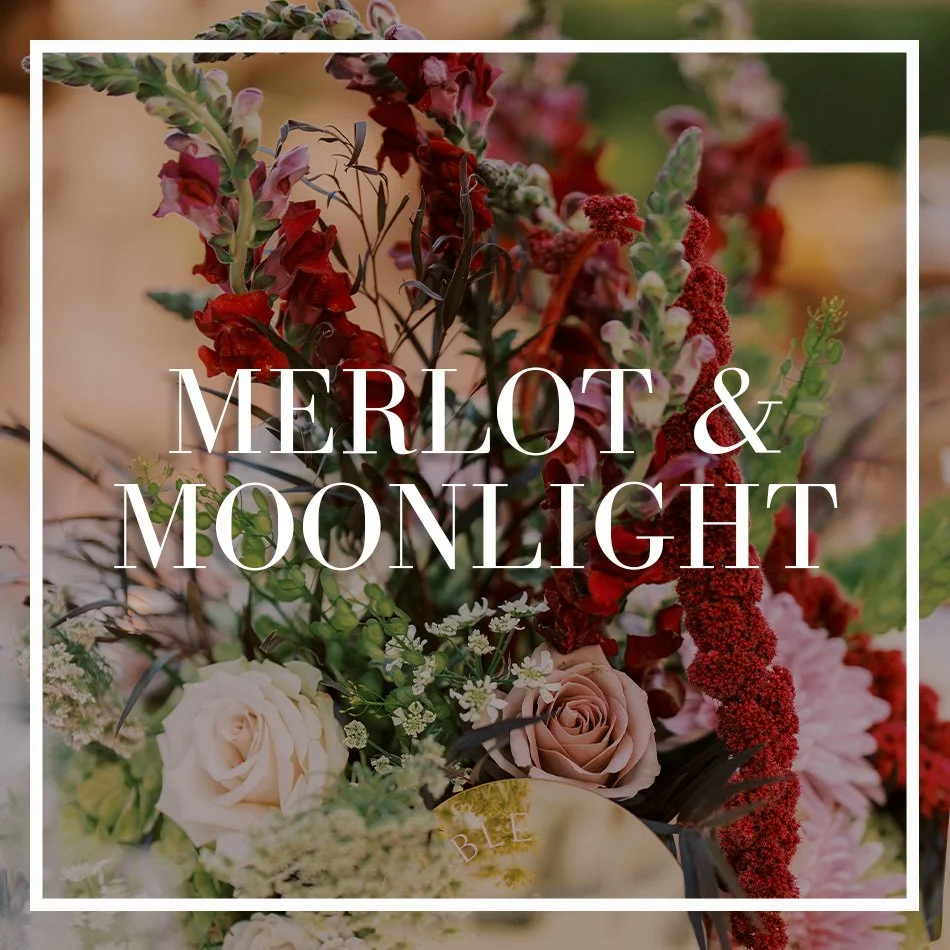WCFD-Portfolio-COVER-merlotmoonlight.jpg