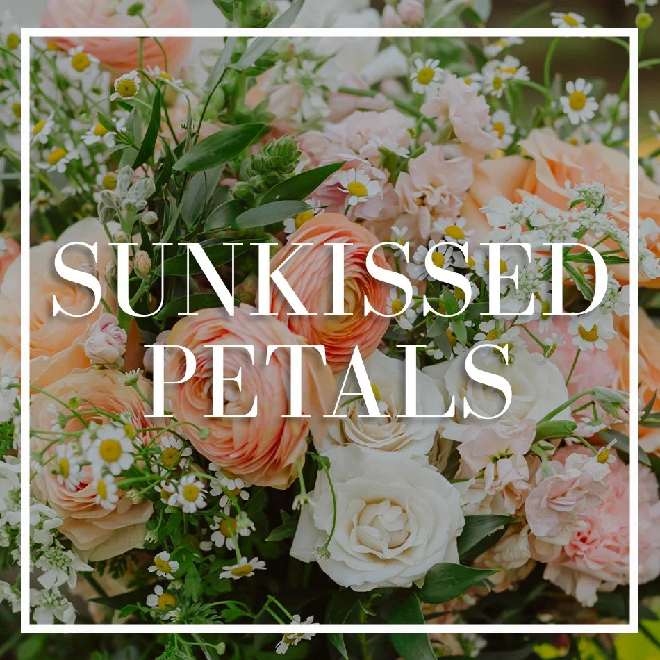 WCFD-Portfolio-COVER-SUNKISSEDPETALS.jpg