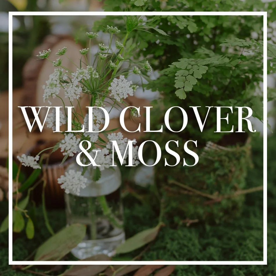 WCFD-Portfolio-COVER-WILDCLOVERMOSS.jpg