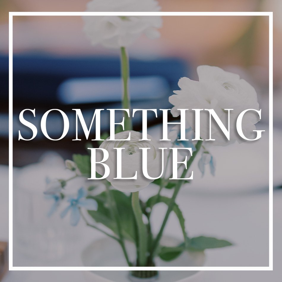 WCFD-Portfolio-COVER-SOMETHINGBLUE.jpg