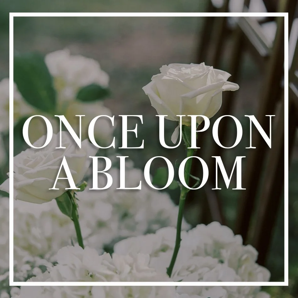 WCFD-Portfolio-COVER-ONCEUPONABLOOM.jpg