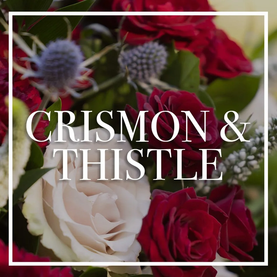 WCFD-Portfolio-COVER-CrimsonThistle.jpg
