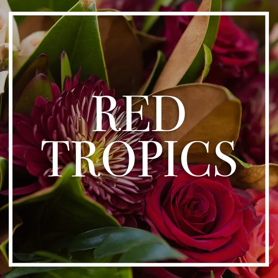 WCFD-Portfolio-COVER-RedTropics.jpg