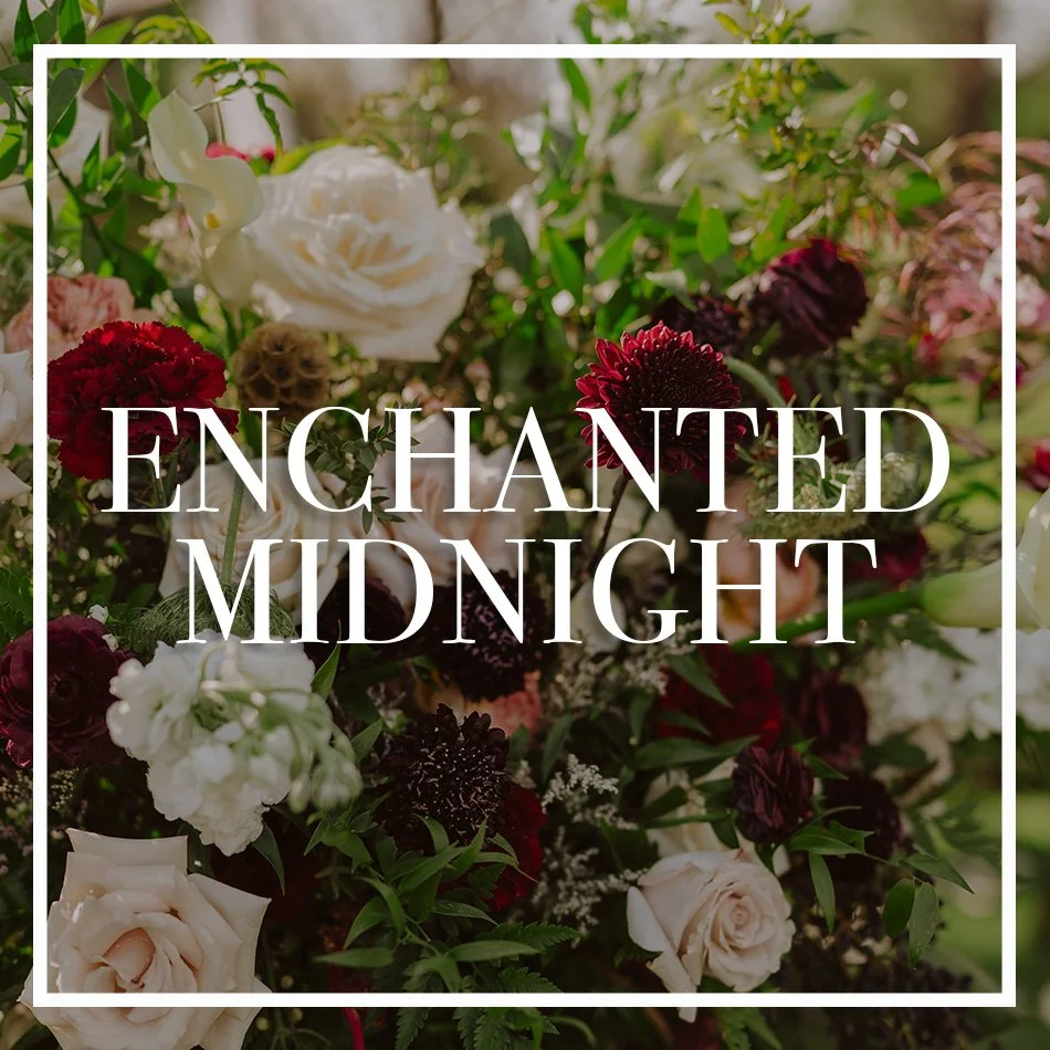 WCFD-Portfolio-COVER-ENCHANTEDMIDNIGHT.jpg