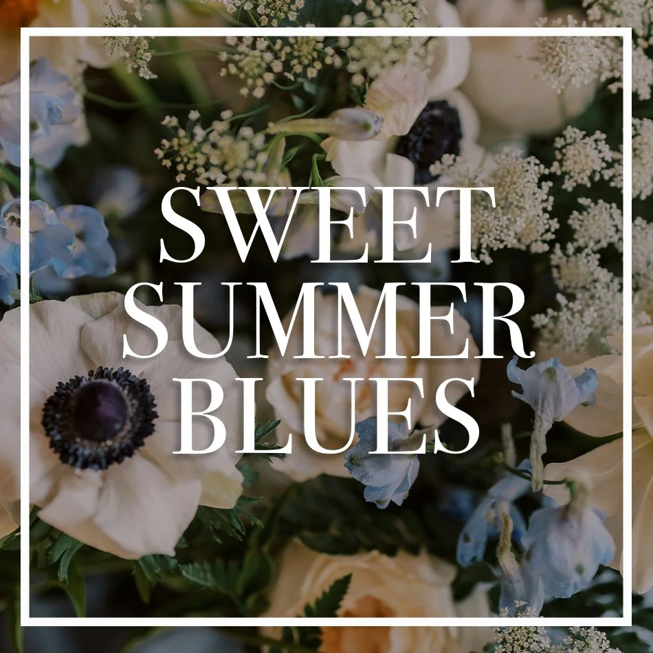 WCFD-Portfolio-COVER-SWEETSUMMERBLUES.jpg