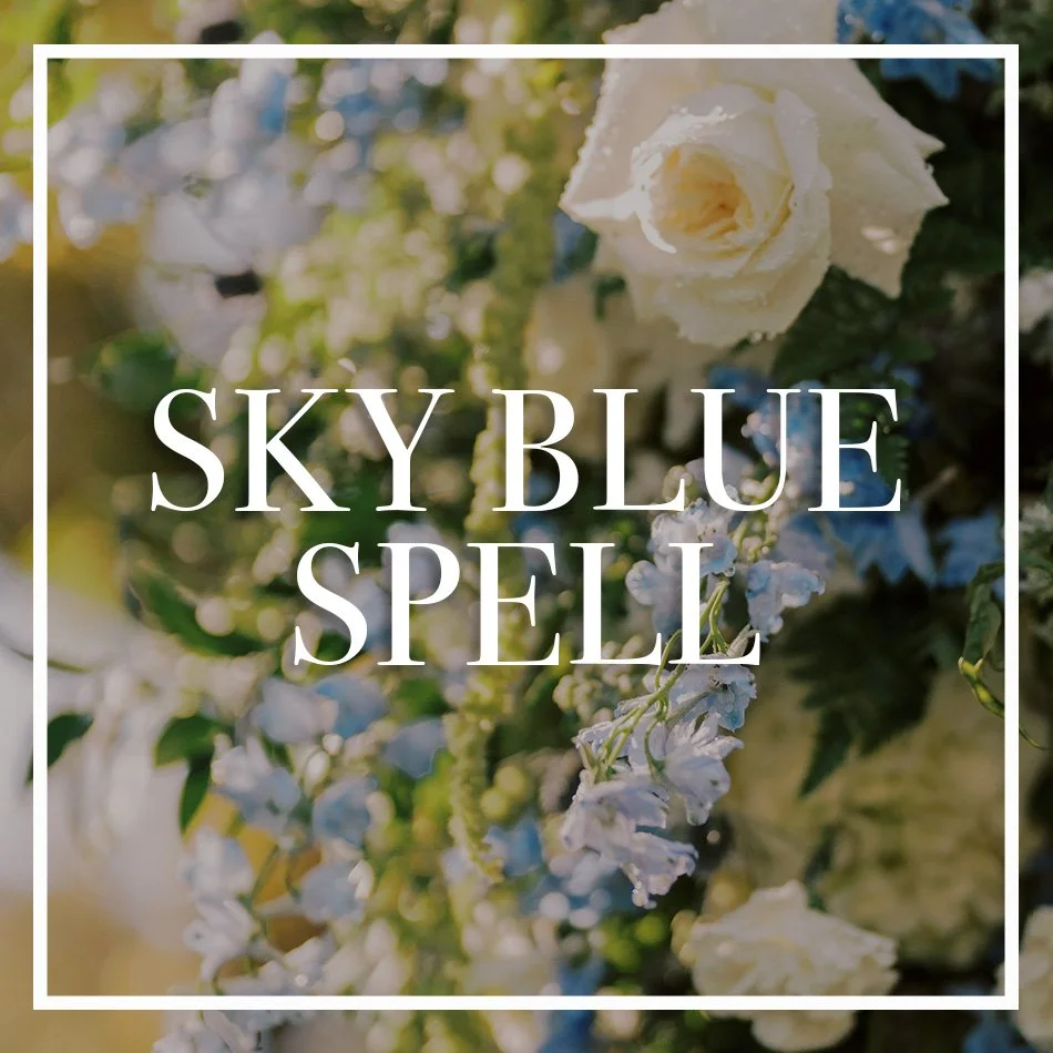 WCFD-Portfolio-COVER-SKYBLUESPELL.jpg