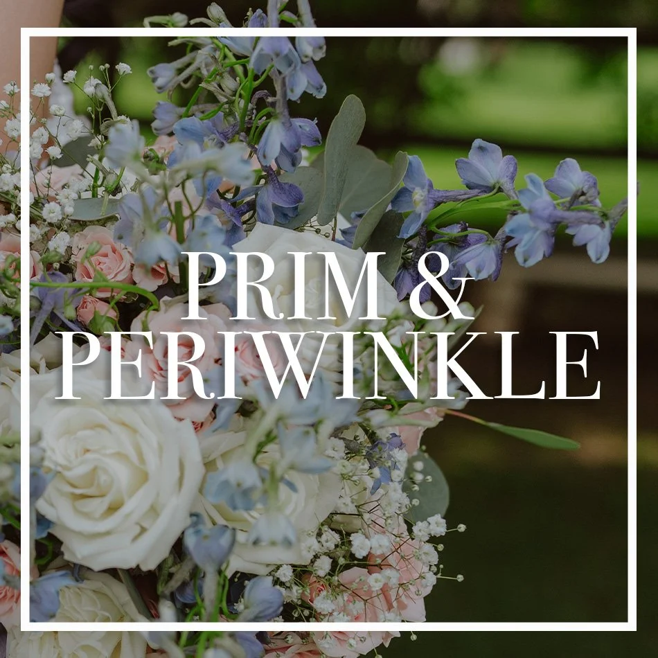 WCFD-Portfolio-COVER-PrimPeriwinkle.jpg