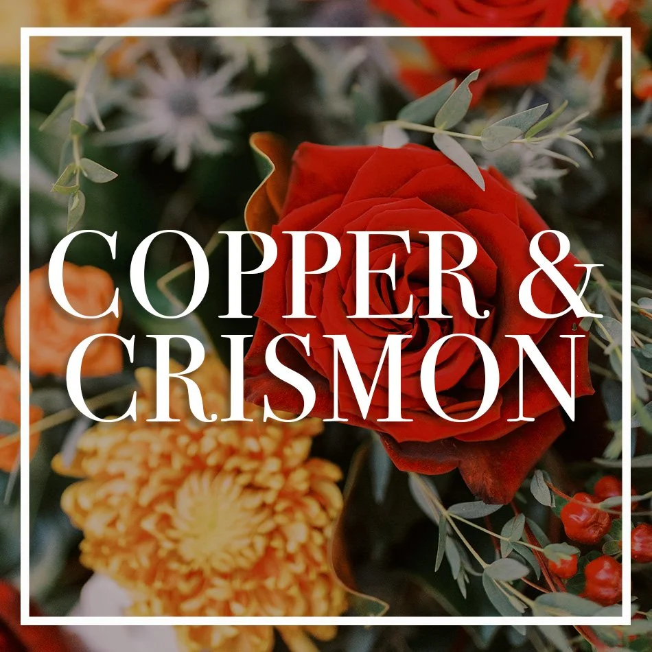 WCFD-Portfolio-COVER-COPPERCRISMON.jpg