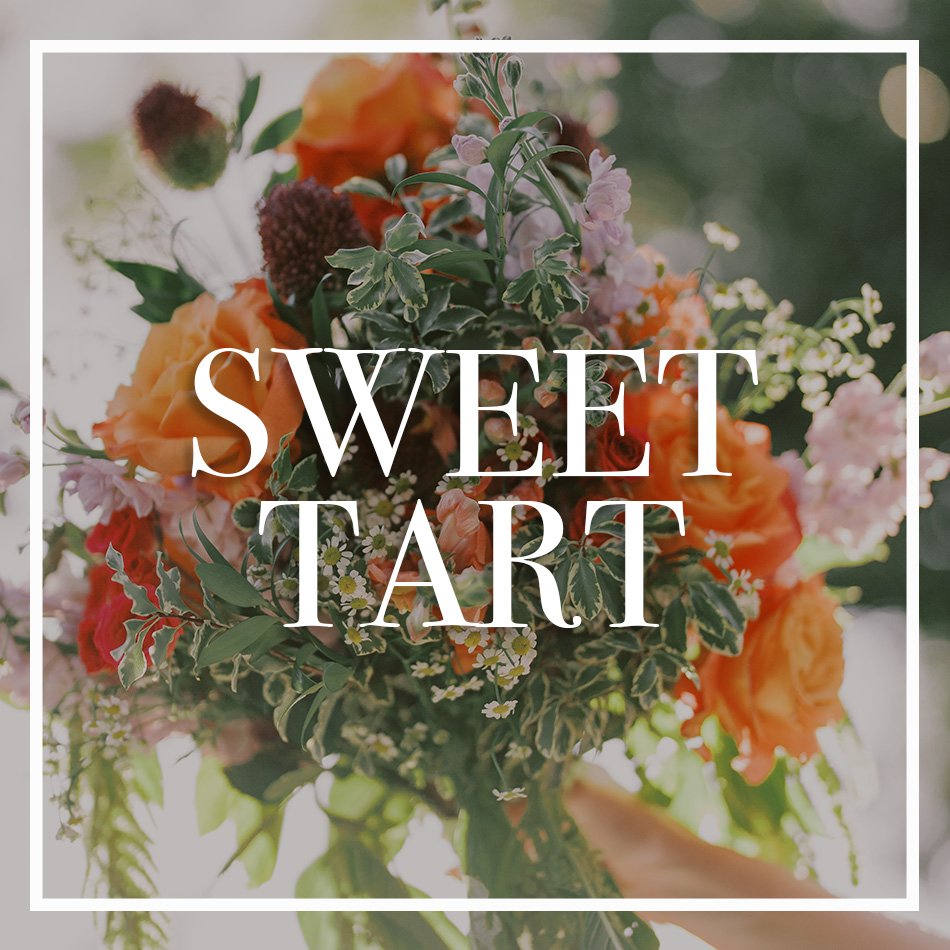 WCFD-Portfolio-COVER-SWEETTART.jpg