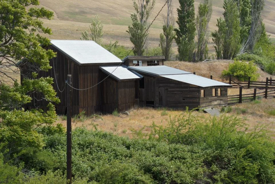 Utilitarian-Farm-Buildings_6.jpg