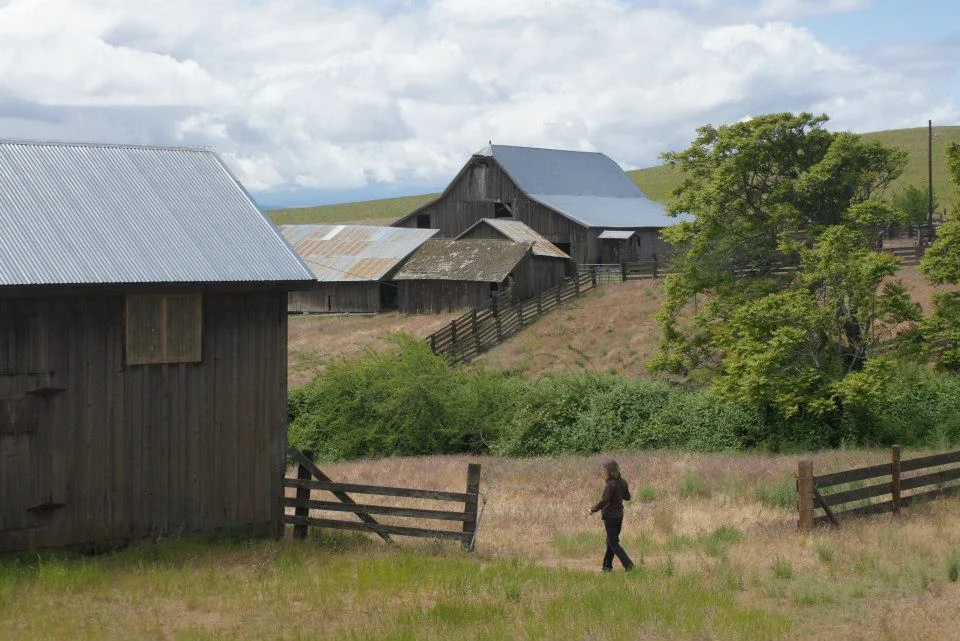 Utilitarian-Farm-Buildings_9.jpg