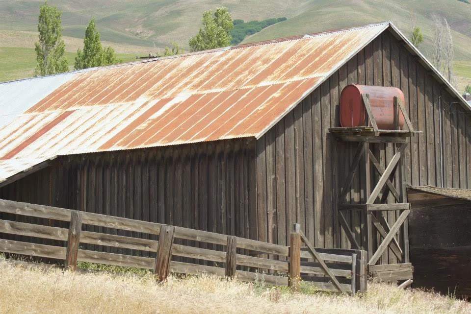 Utilitarian-Farm-Buildings_10.jpg