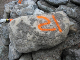 Rocks uncovered from the site are often utilized in the design