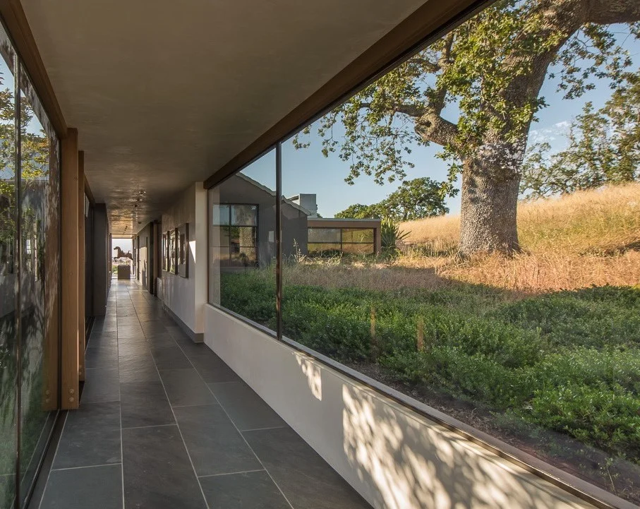 The existing oak tree on site informed parts of the layout. It is viewed every day moving between the garage and entry into the living and bedroom areas, becoming an intimate part of the home.