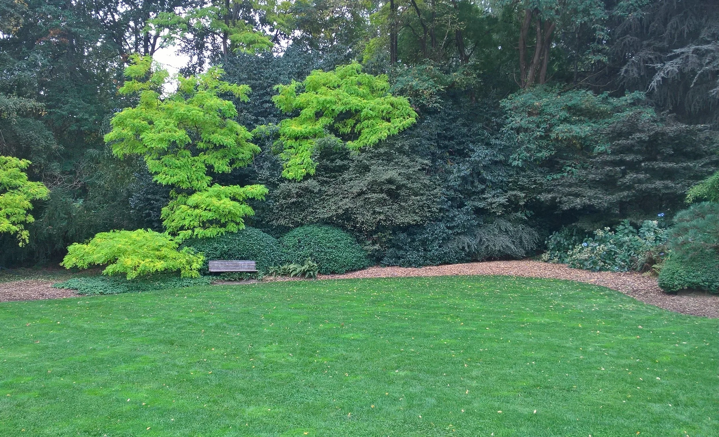 Contrasting green leaves and the lawn here are wonderful.