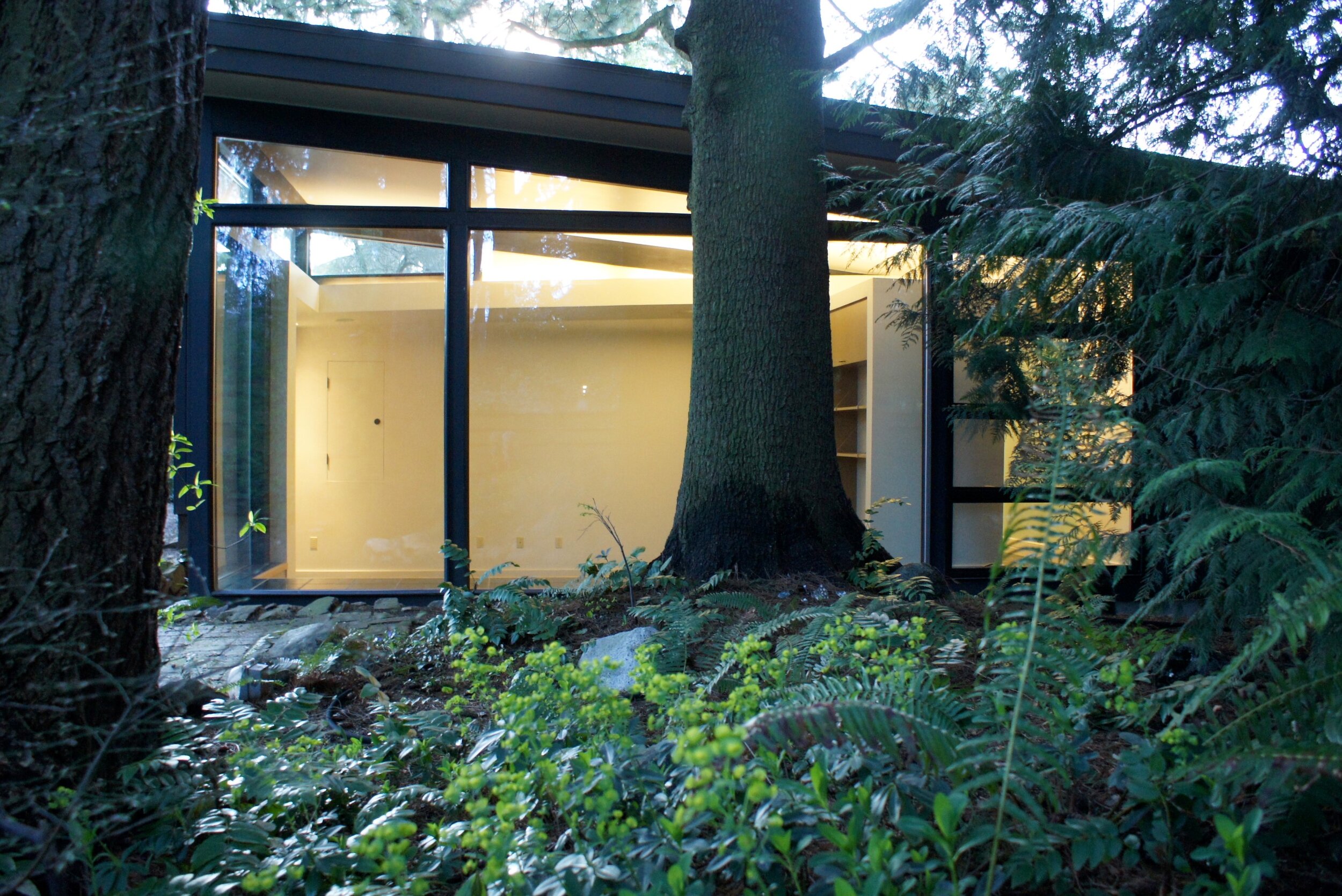 glass wall to wooded yard