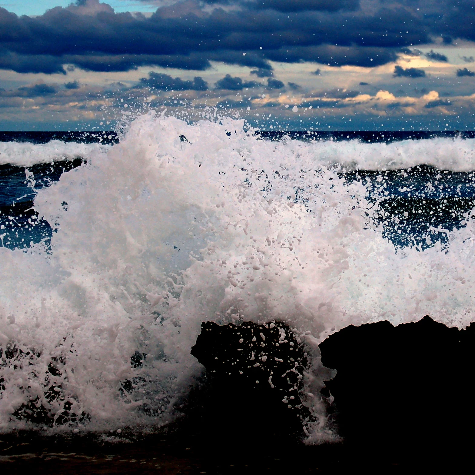 Two PhD opportunities on ocean acidification on offer at University of Otago