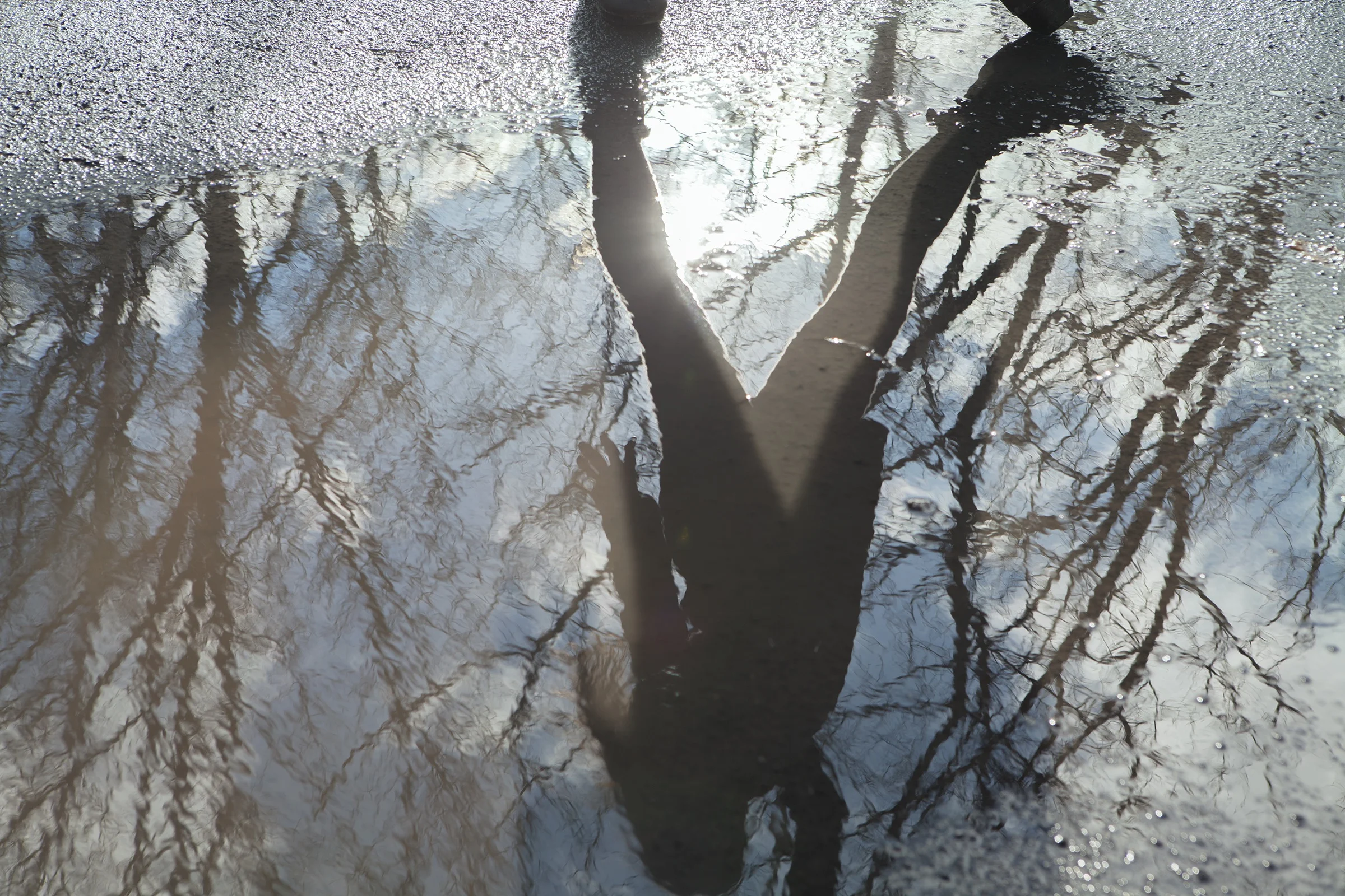 Reflection_by_Sarah_Wilmer_4713_Final.jpg